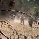 Much of the area near Mandrake's Landing gets quite dusty in the late summer.